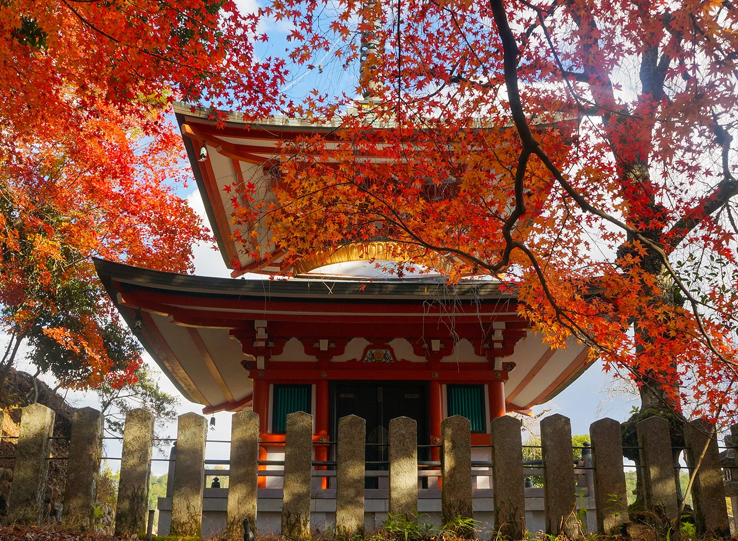 京都の美しい仏閣と紅葉
