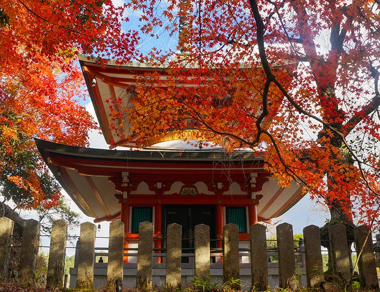 京都の美しい仏閣と紅葉